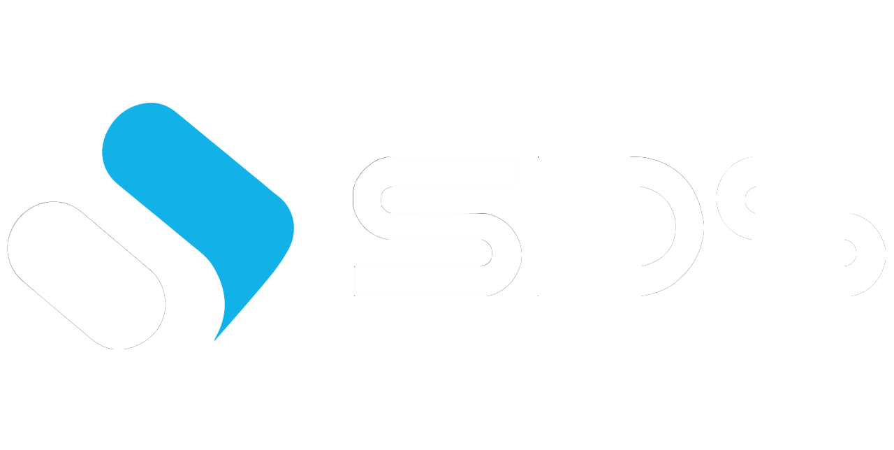 Seoul D&S Logo